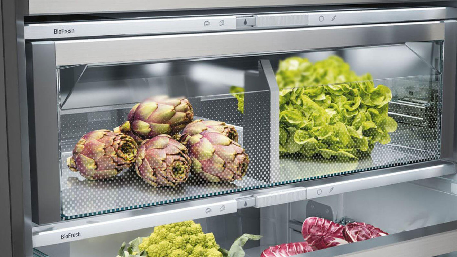 Untere BioFresh Kühlschrankfächer für Obst und Gemüse mit verschiedenen Gemüsen und Salaten