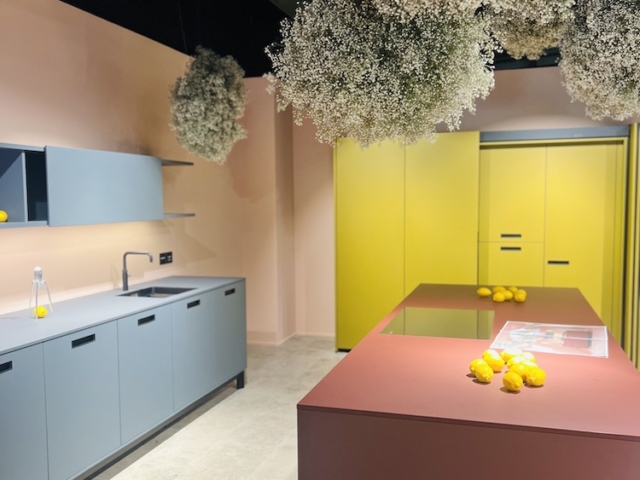 Moderne Küche mit verschieden farbenen Schrankelementen und an der Decke hängenden Pflanzen